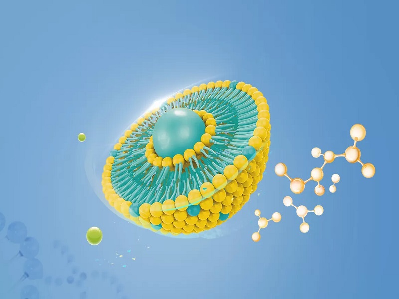 Technologie du liposome: une percée innovante dans la science de la nutrition moderne