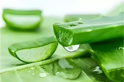 L'introduction de l'Aloin