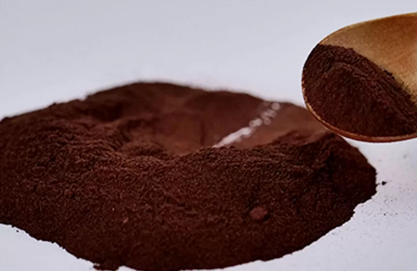 Pourquoi choisir le champ naturel comme votre usine de poudre d'extrait de Pygeum Africanum?