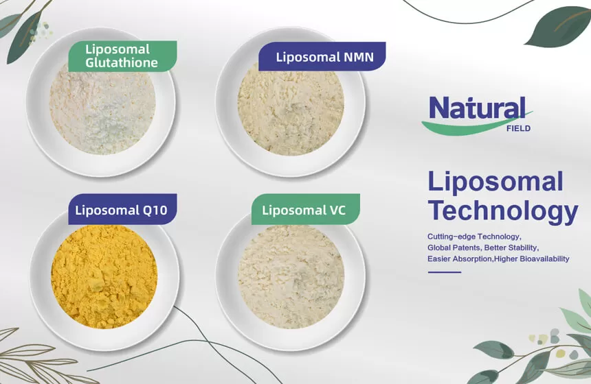 Pourquoi choisir le champ naturel comme votre fabricant de poudre de NMN liposomal?
