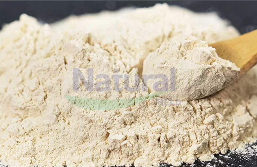 Pourquoi choisir le champ naturel comme votre fournisseur de poudre liposomale de Créatina?