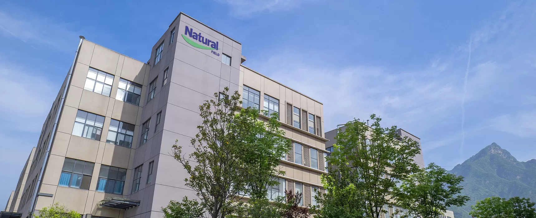 Profil de l'entreprise