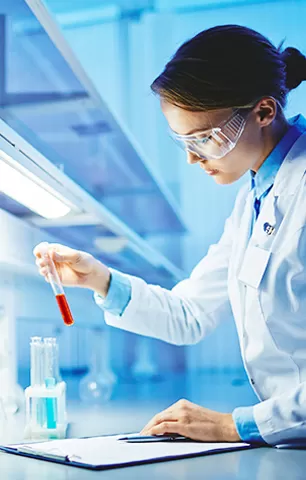 Certification internationale faisant autorité, contrôle de qualité strict