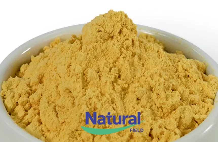 Pourquoi choisir le champ naturel comme votre fabricant de poudre en vrac Coenzyme Q10?