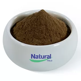 Poudre d'extrait de Bacopa Monniera