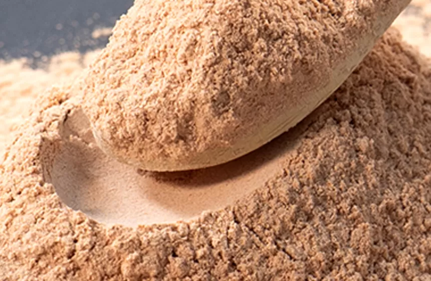 Caractéristiques de l'extrait de thé vert