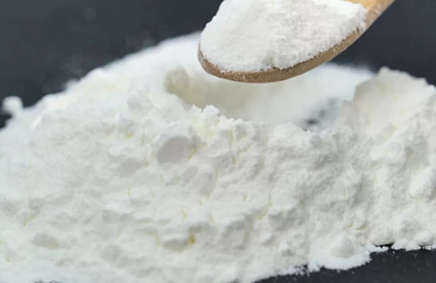 Mécanismes d'action Probiotiques en poudre