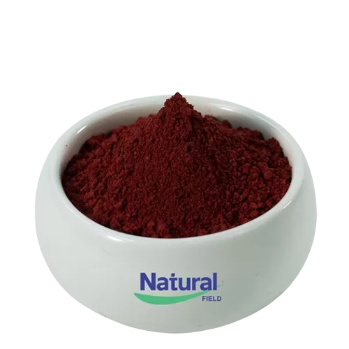 Poudre de sel disodique de pyrroloquinoléine quinone (PQQ)