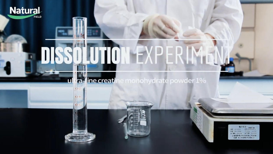 Fabricant de créatine monohydrate micronisée en vrac | Granulométrie fine et dispersion améliorée