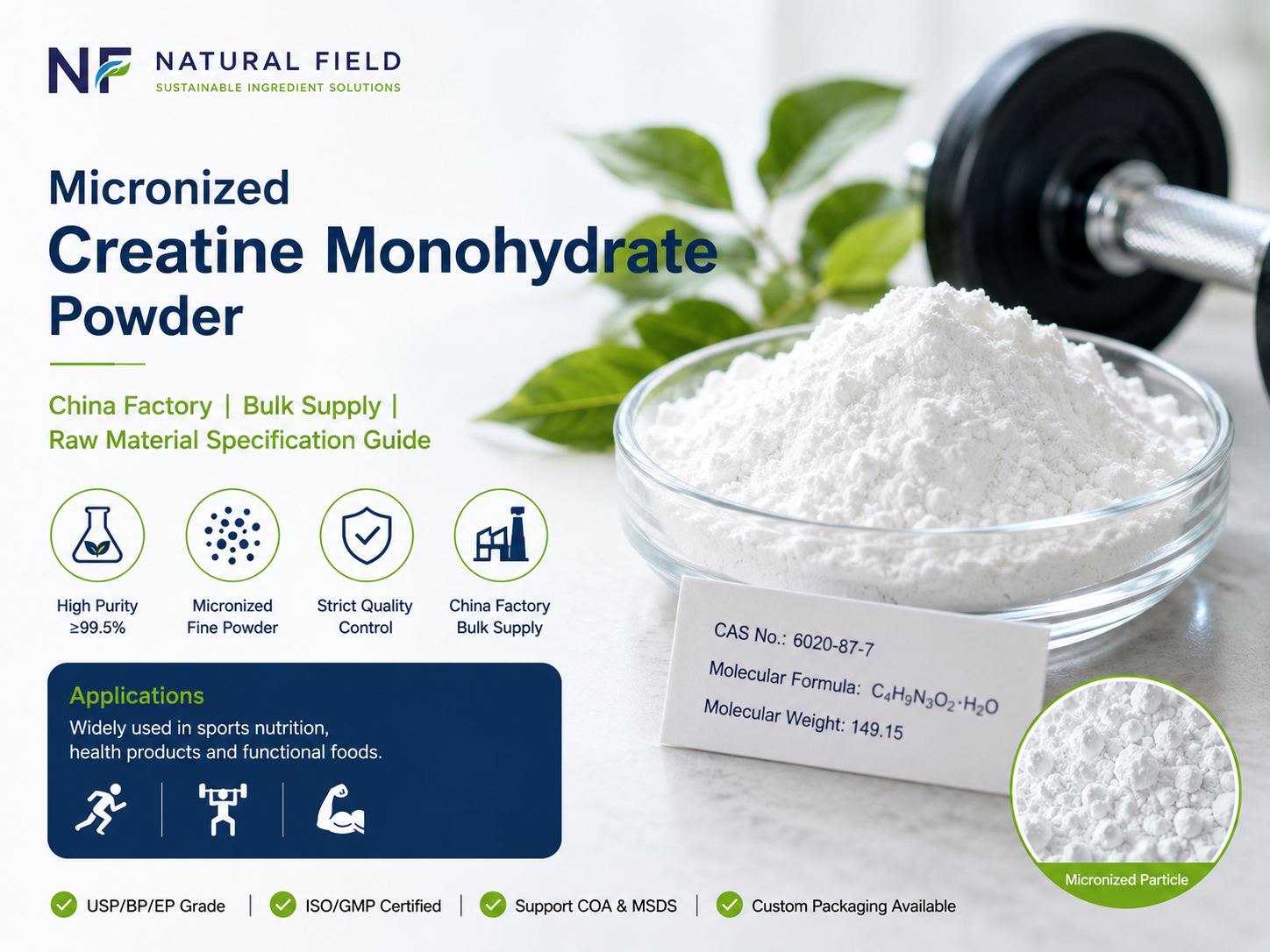 Poudre de créatine monohydrate micronisée : Guide des spécifications des matières premières et de l’approvisionnement en vrac depuis les usines chinoises