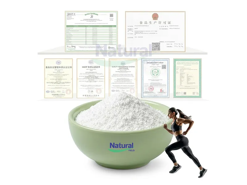 Explication des BCAA : que sont les acides aminés à chaîne ramifiée et comment contribuent-ils à la santé musculaire ?