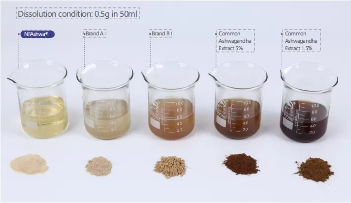 Répondre à l'appel national: Se concentrer sur la santé humaine!