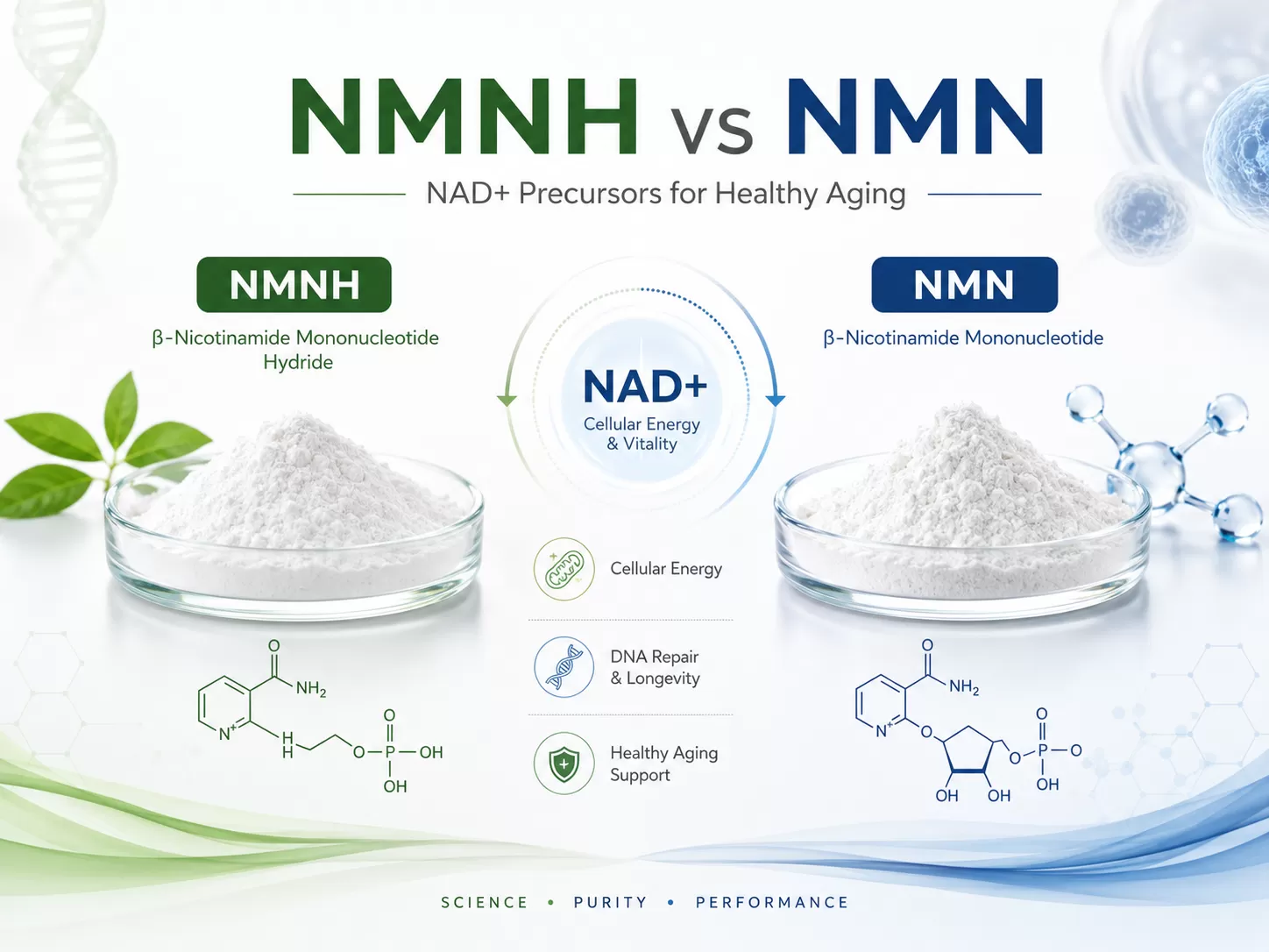 NMNH vs NMN