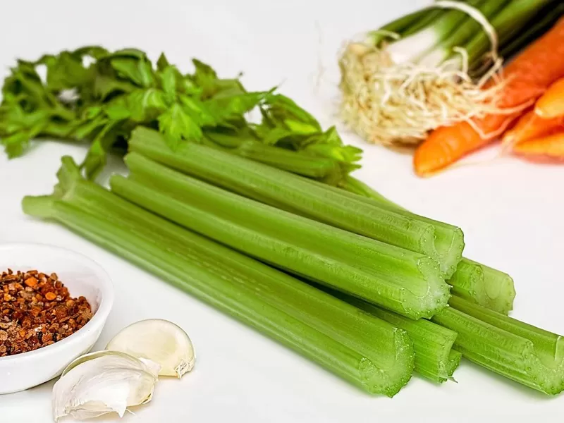 Nouvelle découverte sur l'apigénine flavonoïde diététique: percée dans le mécanisme anti-âge, protection de la santé multifonctionnelle