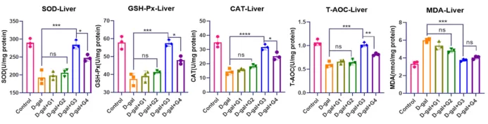 The D-Galactose-Induced Senescence Model The D-Galactose-Induced Senescence Model