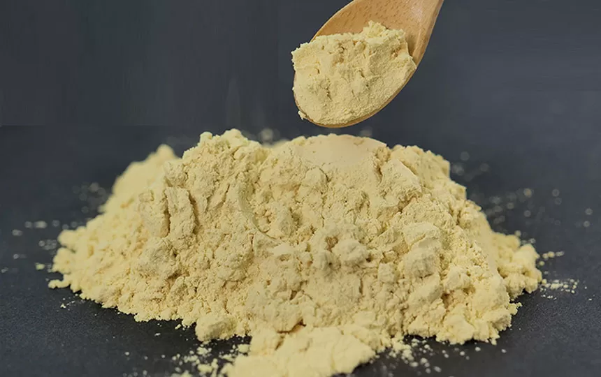 Le secret pour rester en bonne santé et énergique: renforcer votre immunité