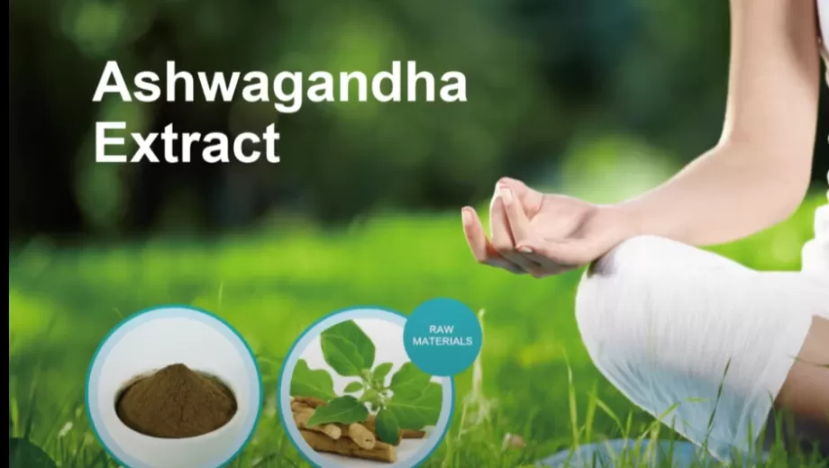 Extrait d'Ashwagandha