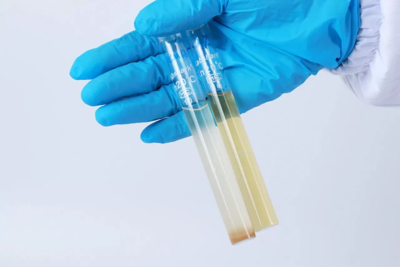 Unlimited Market Potential