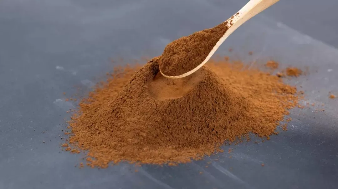 Modern Inheritance of Ancient Wisdom