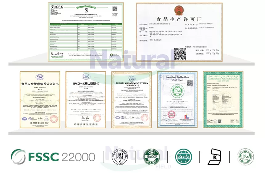 Pourquoi choisir le champ naturel comme votre fournisseur de poudre de monohydrate de créatine?