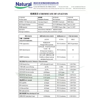 Extrait de curcuma 95%