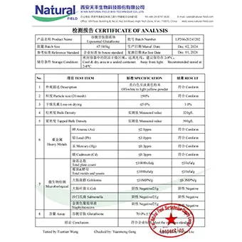 NF-COA Glutathion Liposomes 70%
