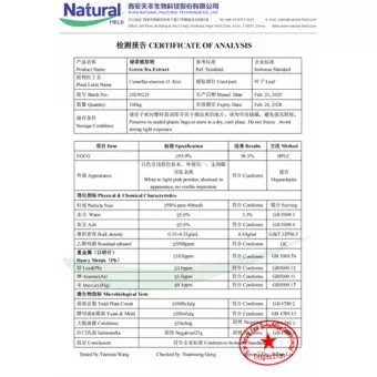 Extrait de thé vert NF-COA (EGCG)