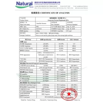 NF-COA Extrait de Thé Vert Polyphénols