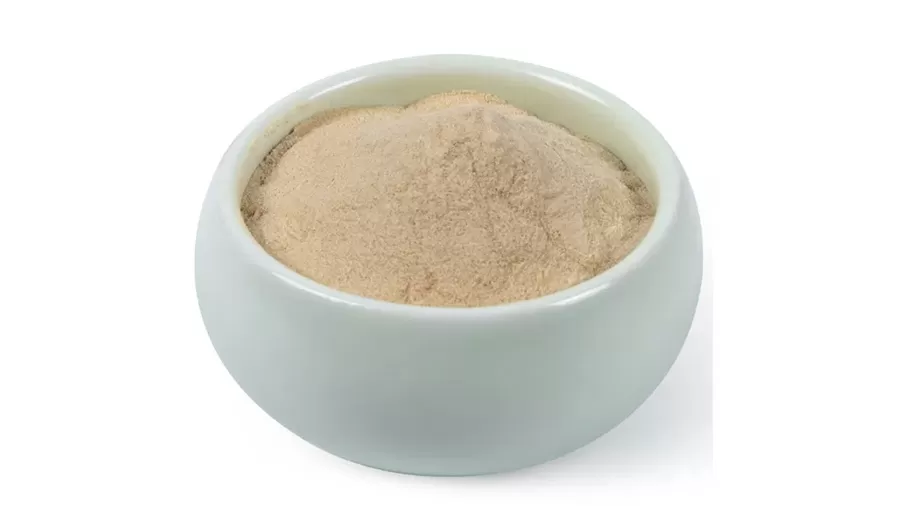 L'évolution de la technologie d'extraction d'Ashwagandha: de la macération traditionnelle à la percée de l'Ashwagandha débité instantané NF Ashwa