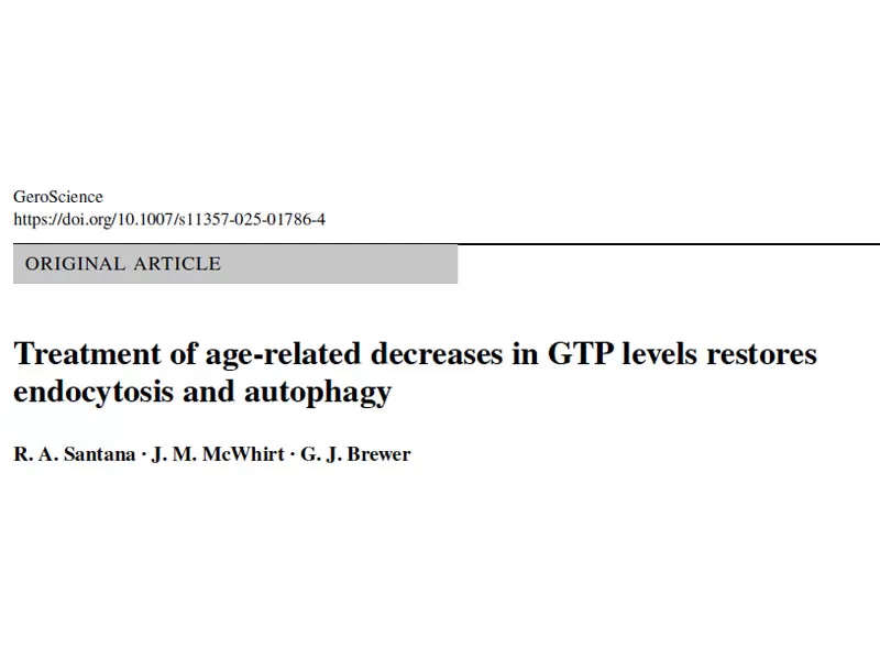 Dernières recherches Ce composé de thé vert à la vitamine peut restaurer rapidement les niveaux d'énergie des cellules cérébrales