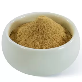 Poudre de champignon crinière de lion