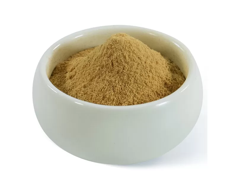 extrait de hericium erinaceus