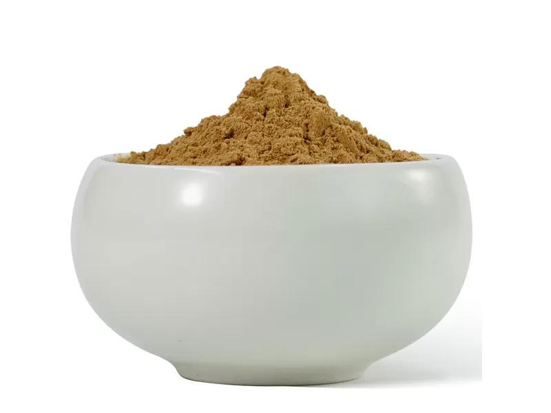 champignon crinière de lion biologique