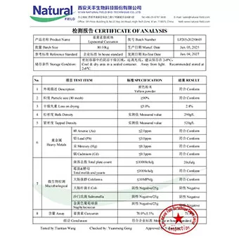 70% de curcumine liposomale