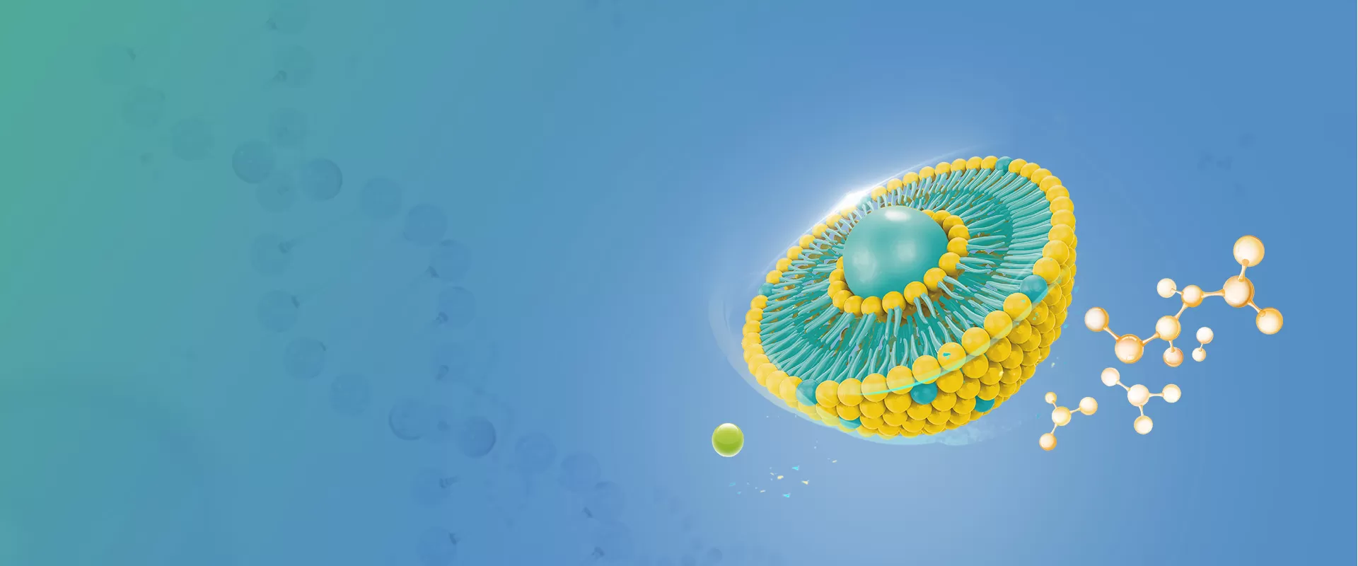 Ingrédients liposomaux