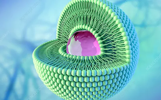 Technologie liposomale expliquée : des défis de biodisponibilité à la fabrication industrielle de poudre liposomale