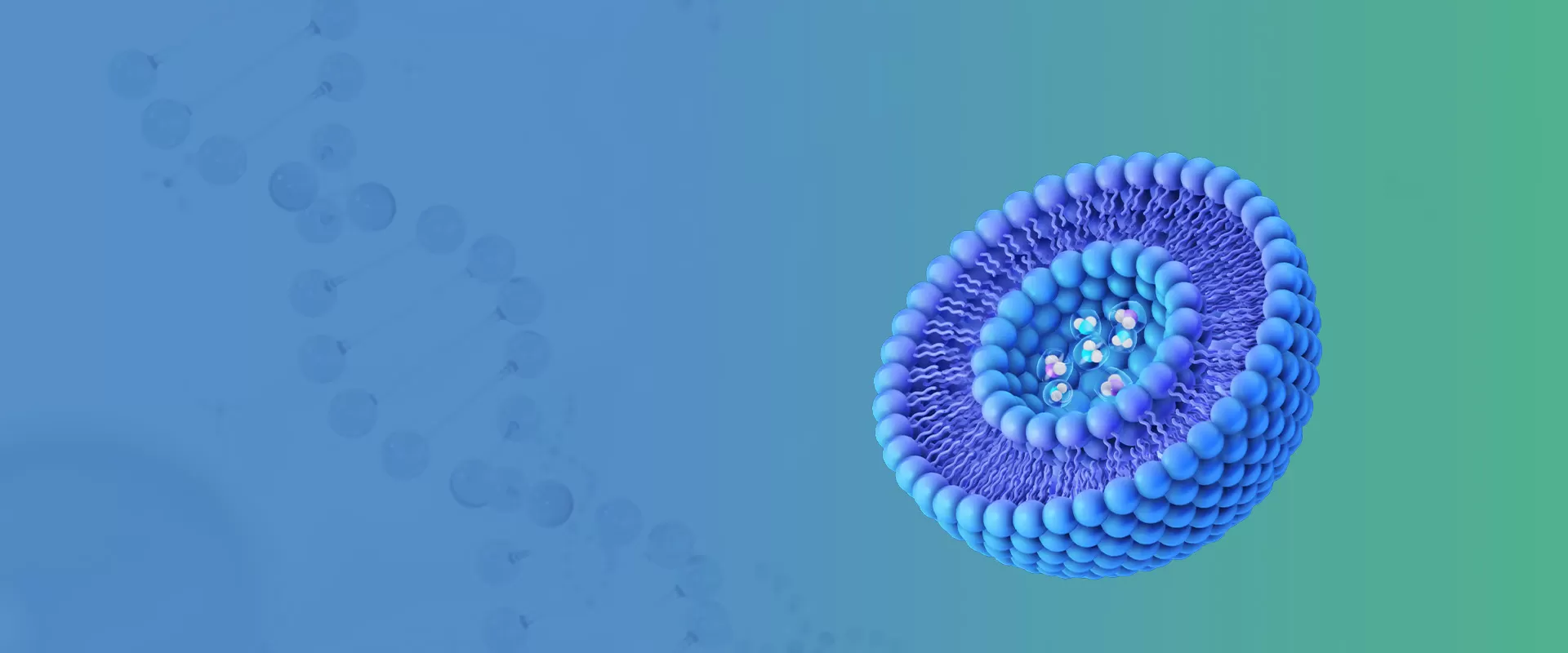 Nouvelles liposomales