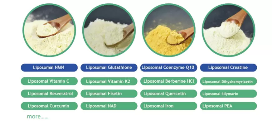 liposomal-nmn-key-advantages-for-formulators-and-raw-material-buyers-2.jpg liposomal-nmn-key-advantages-for-formulators-and-raw-material-buyers-2.jpg