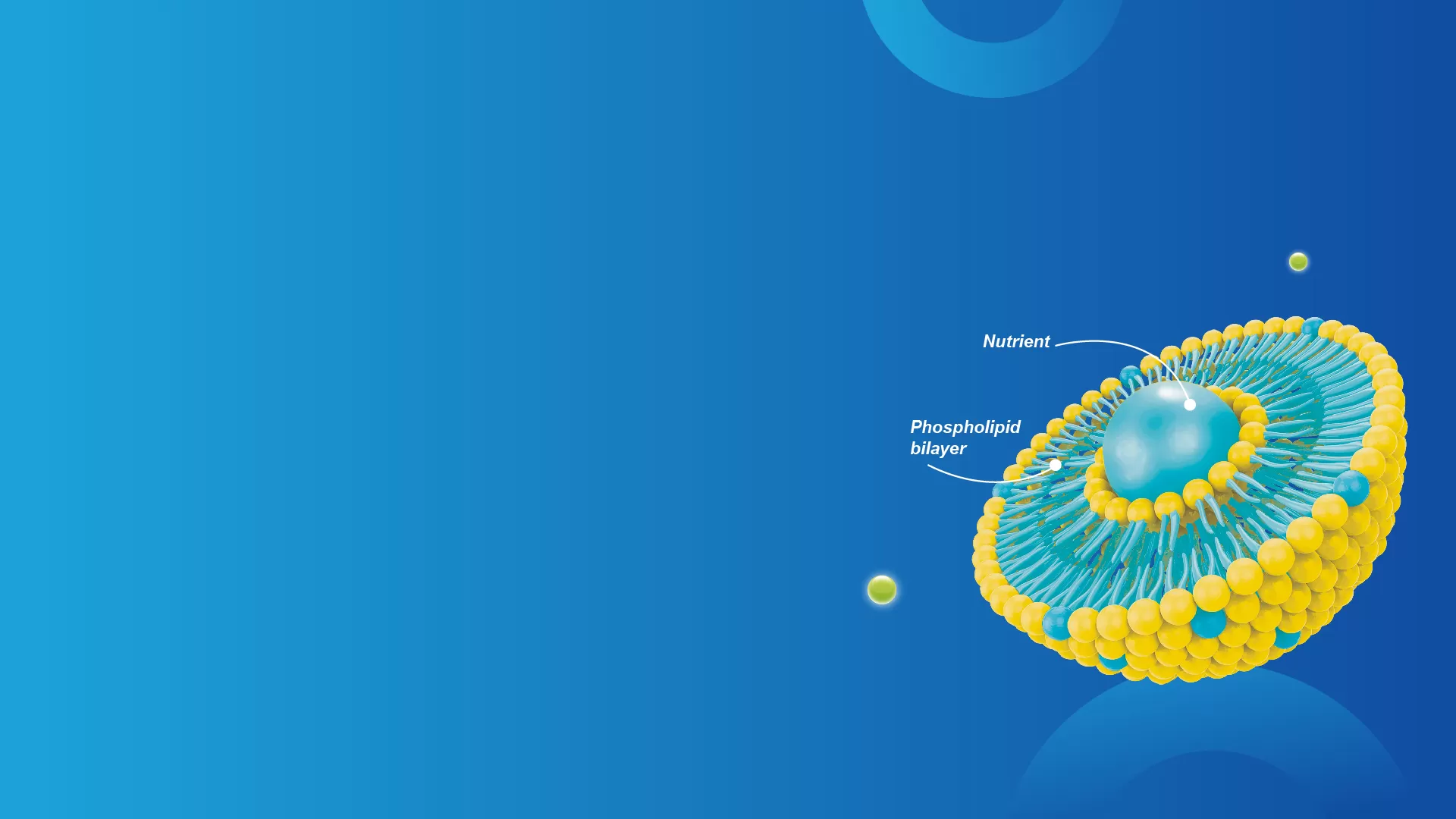 Technologie Liposome