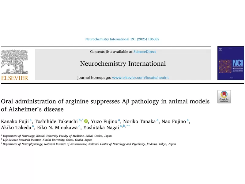 Vous recherchez un ingrédient sûr et efficace pour la santé du cerveau? Arginine: soutenu par la science, rentable, résolvant vos points de douleur de base!