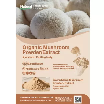 Poudre/extrait de champignon biologique