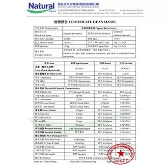 Extrait d'écorce de pygeum