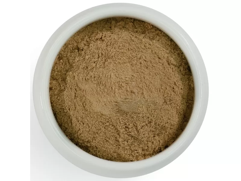 poudre d'extrait de champignon shiitake