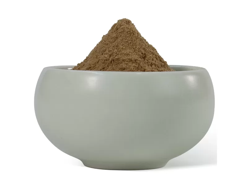 extrait de champignon shiitake biologique