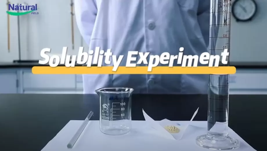 Expérience de solubilité de poudre d'extrait de NF Ashwa Ashwagandha