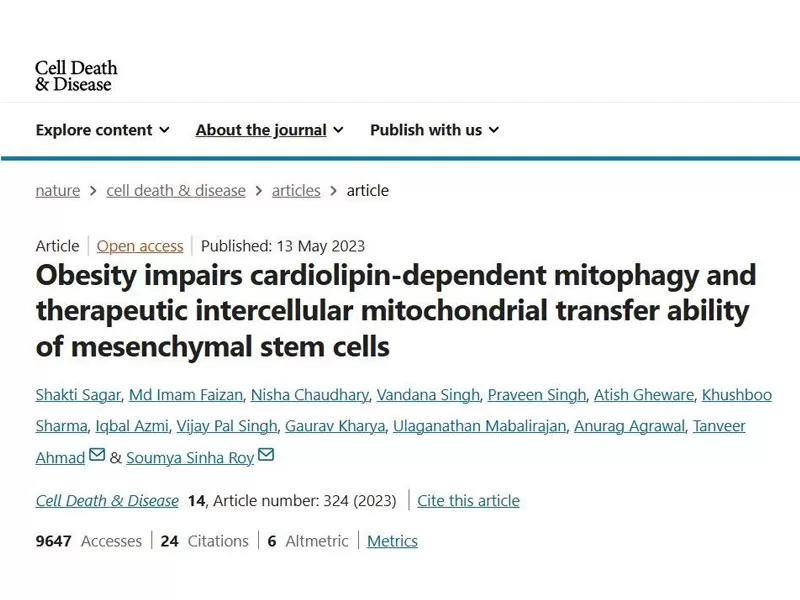 La bataille contre le vieillissement: comment PQQ rajeunit la jeunesse cellulaire