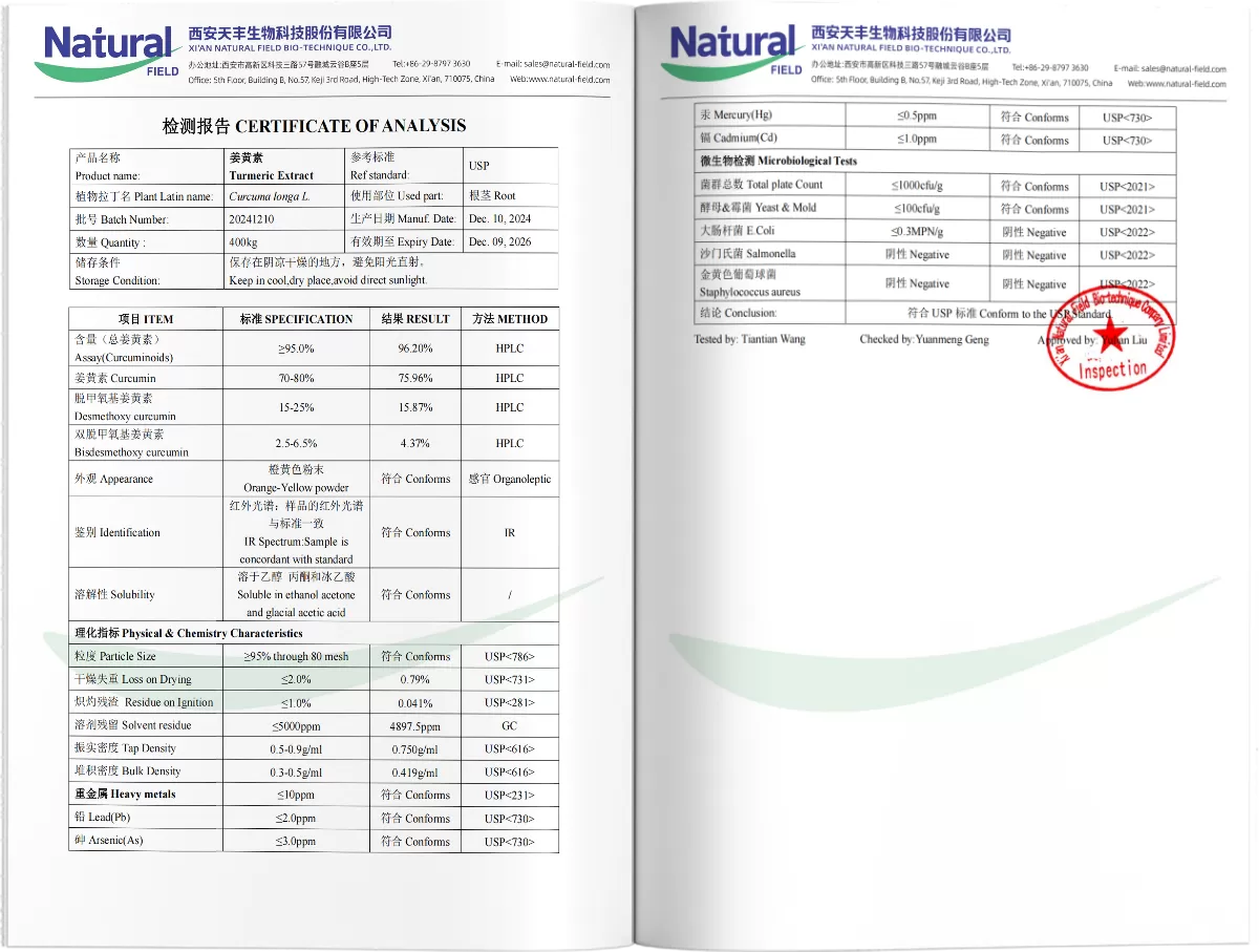 Curcumine Curcumine Extrait PDF