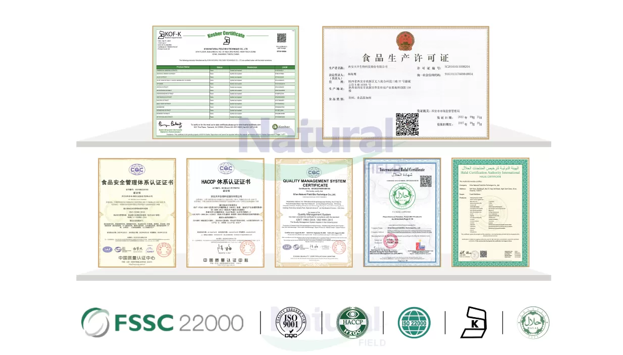 Pourquoi nous Choos en tant que votre fournisseur fiable d'extrait de Curcuma Longa?